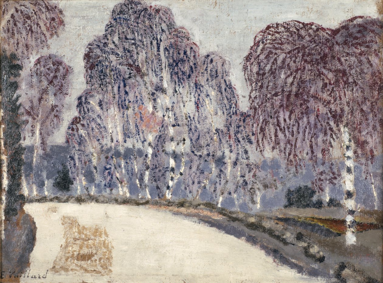 लिटांग-ए-ला-विले में बिर्च, 1896 (कार्डबोर्ड पर तेल) द्वारा एडोर्ड वुइलार्ड