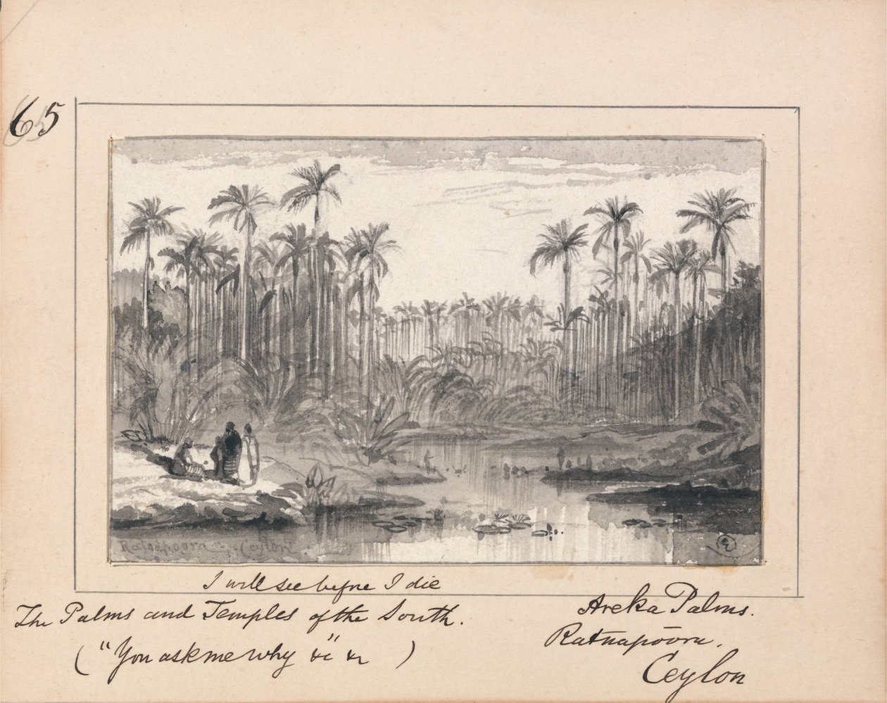 Tennysons का चित्रण आप मुझसे पूछते हैं- Areka Palms, Ratanapooru, Ceylon द्वारा एडवर्ड लीयर