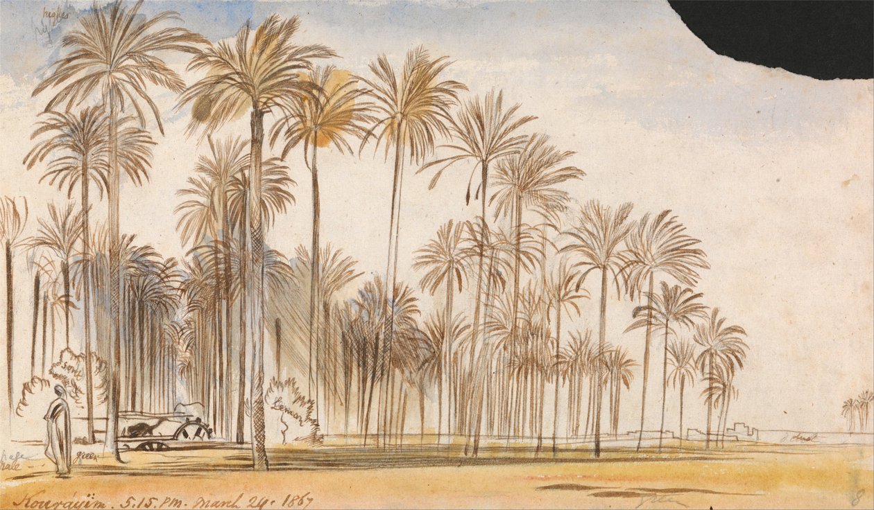 Kourayim द्वारा एडवर्ड लीयर