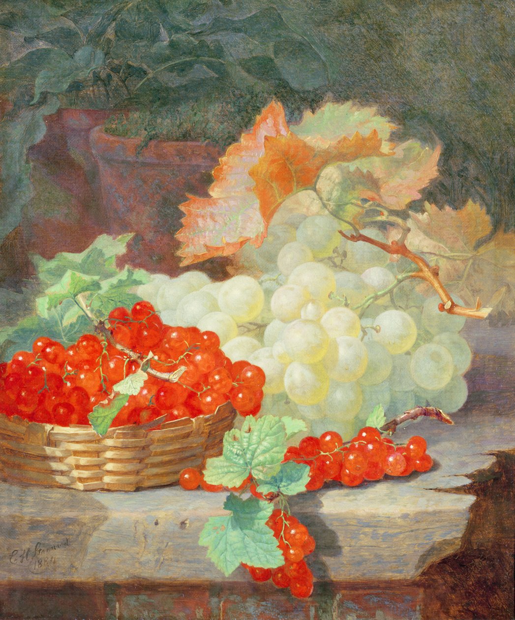Redcurrants और अंगूर, 1864 द्वारा एलोइस हैरियट स्टैनर्ड