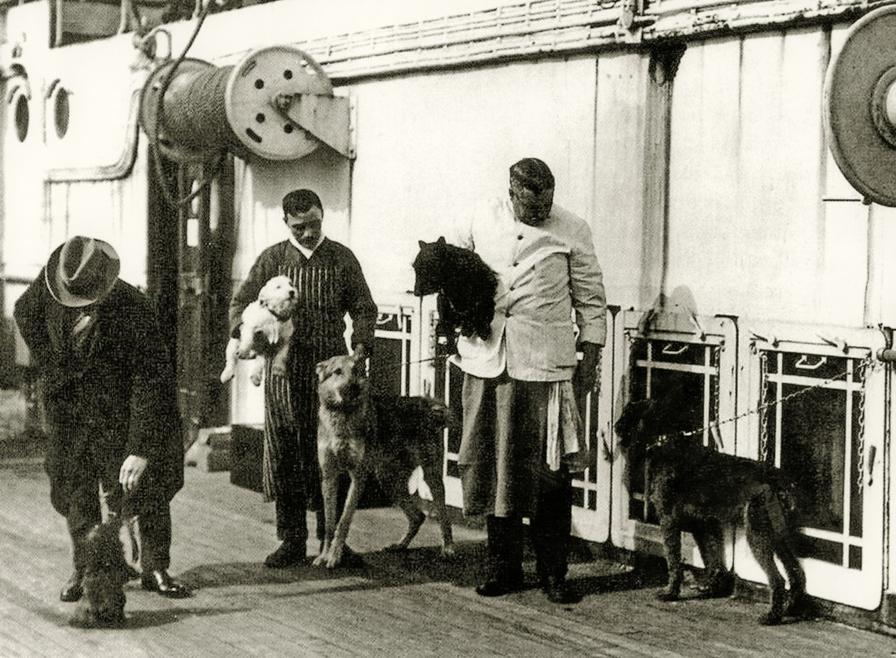 1912 के टाइटैनिक के चालक दल के सदस्यों द्वारा कुत्तों की देखभाल की जा रही है द्वारा अंग्रेजी फोटोग्राफर
