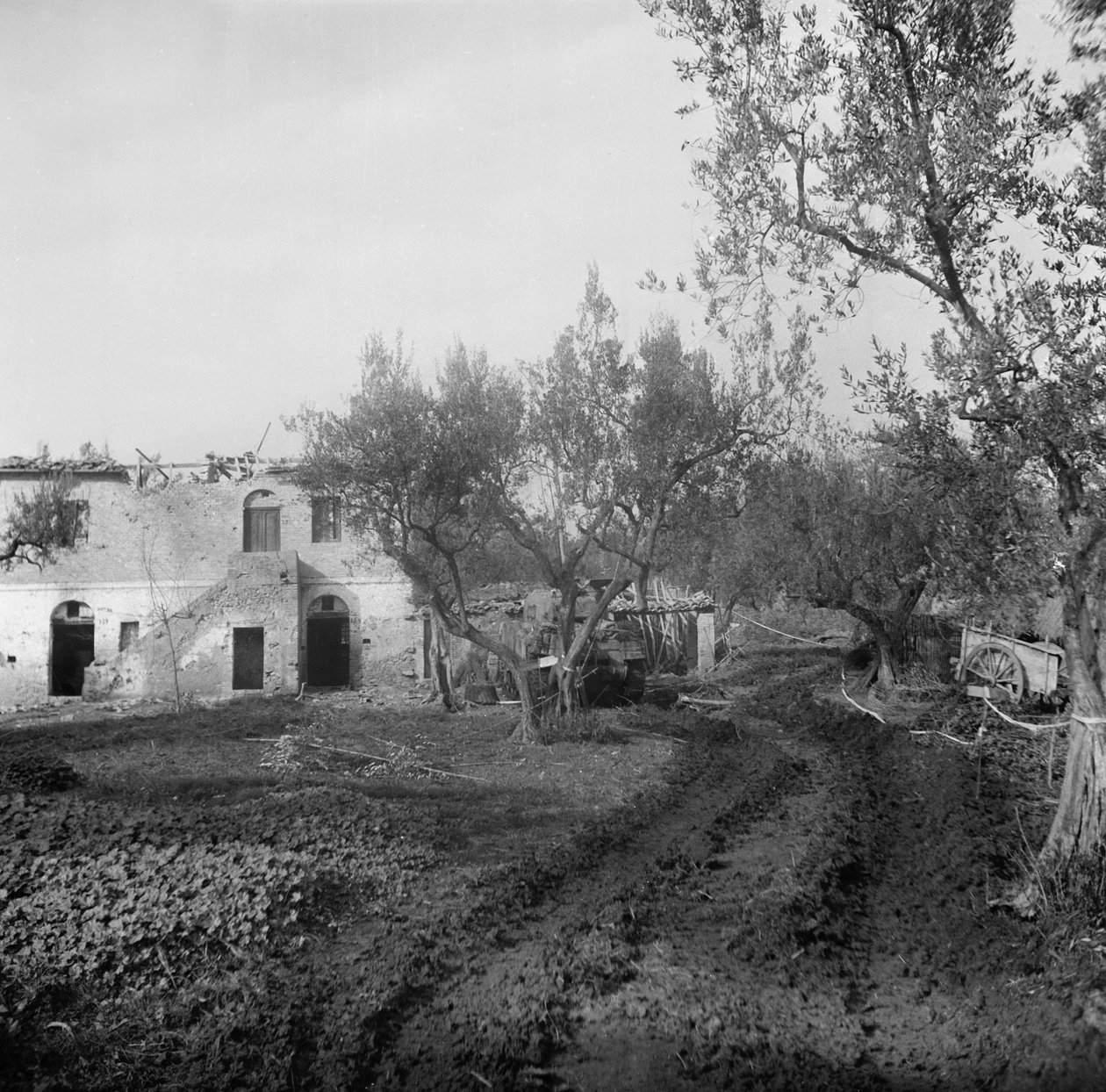 लेन के लिए प्रवेश, एक माइनफील्ड के माध्यम से, लाइसोल रिज के लिए अग्रणी, c.1944 द्वारा अंग्रेजी फोटोग्राफर