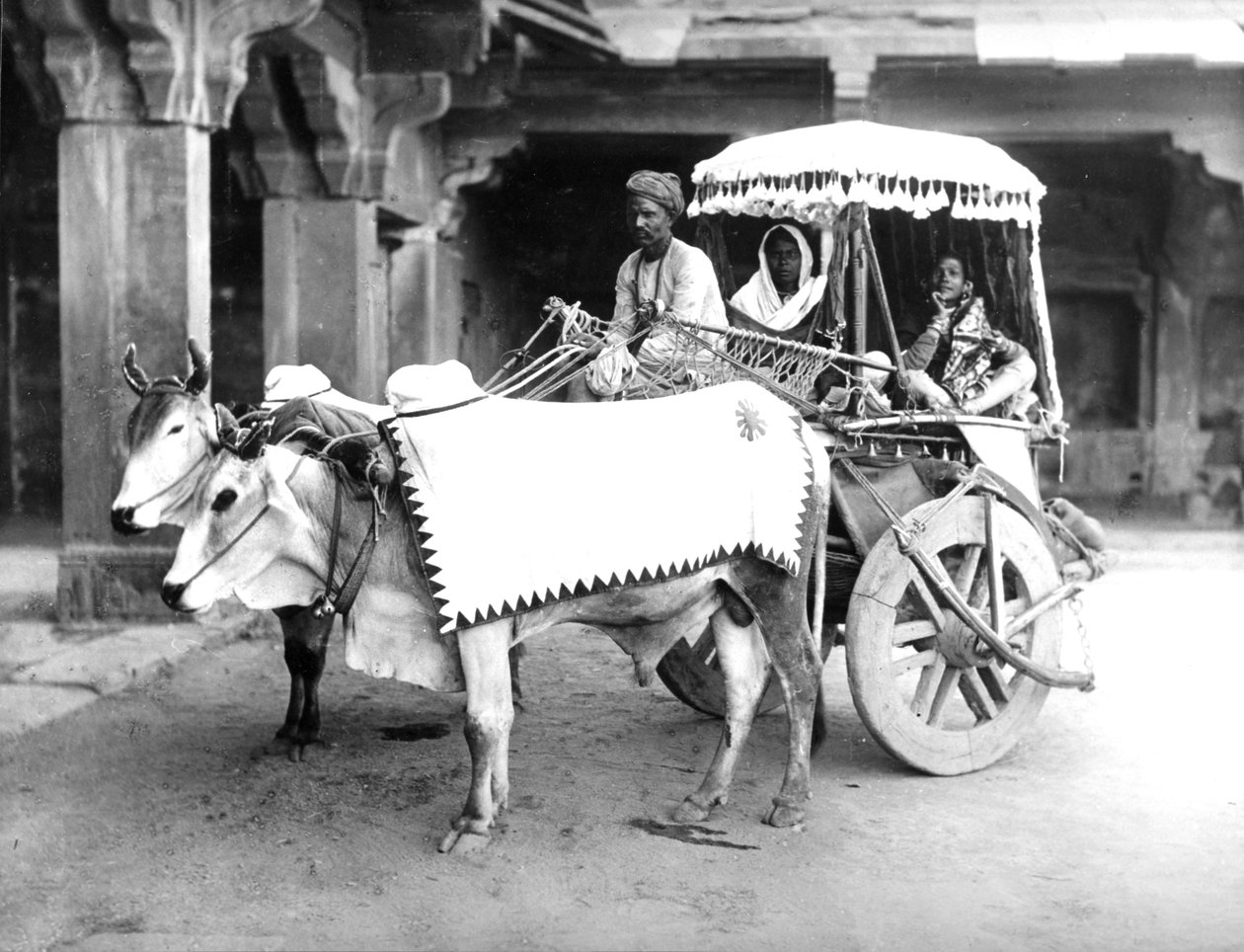 ऑक्स-ड्रोन कार्ट, भारत, c.1907 द्वारा अंग्रेजी फोटोग्राफर