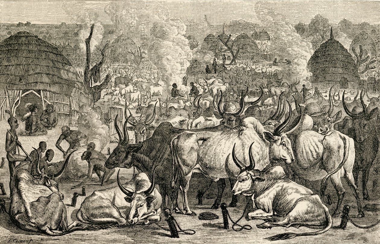 जीटी बेट्टनी द्वारा &39;द वर्ल्ड्स इनहेबिटेंट्स&39; से एक दिनका मवेशी पार्क, दक्षिणी सूडान, अफ्रीका, 788 द्वारा अंग्रेजी स्कूल