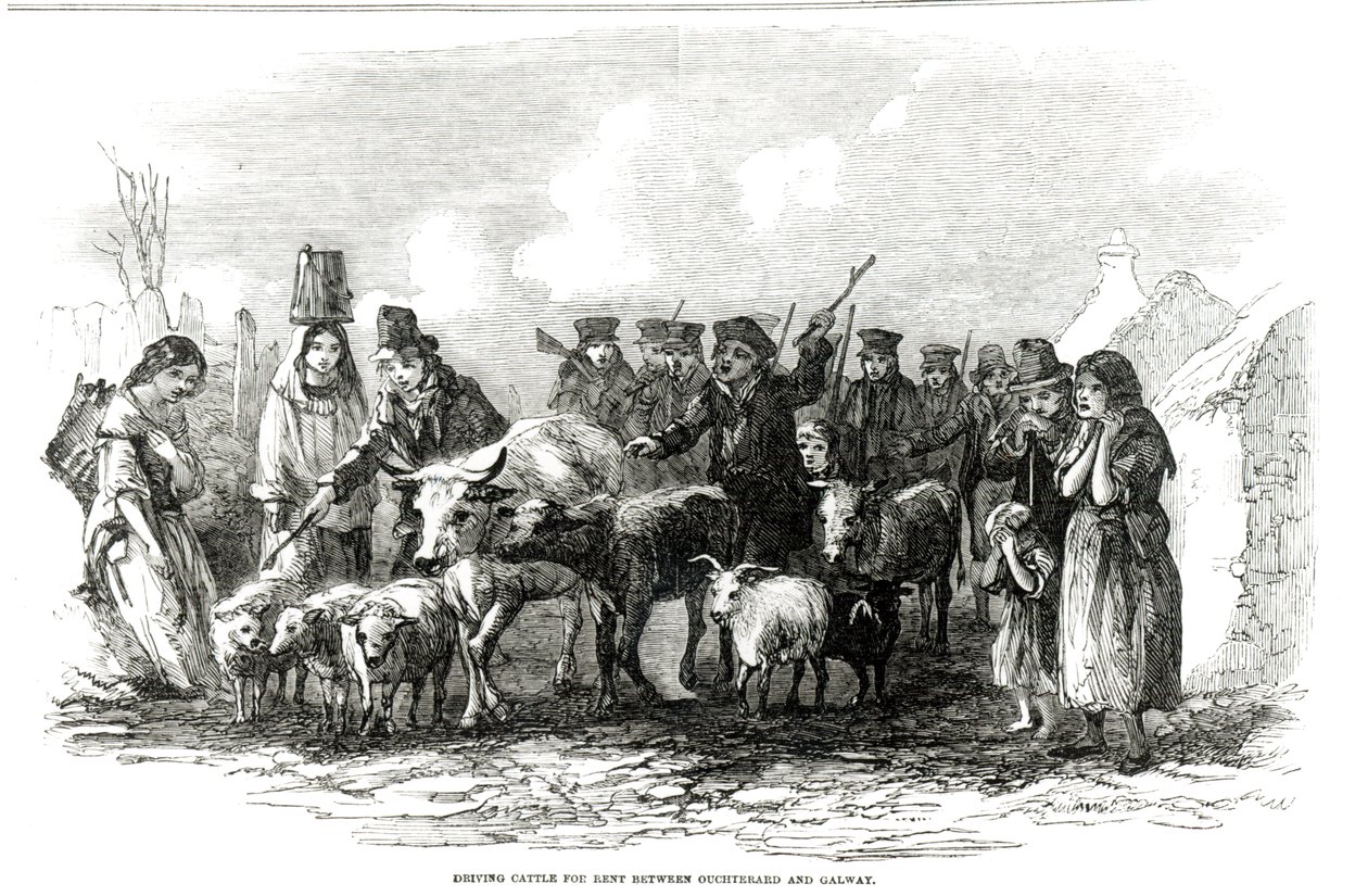 29 दिसंबर 1849 को &39;द इलस्ट्रेटेड लंदन न्यूज&39; से औचटर्ड और गैलवे के बीच किराए पर ड्राइविंग मवेशी द्वारा अंग्रेजी स्कूल