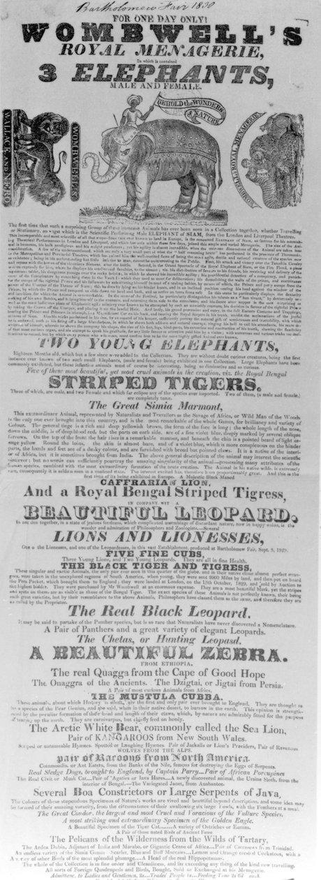 1830 (बर्थोलोम्यू फेयर) में वॉम्बवेल के रॉयल मेनगैरी की उपस्थिति के पोस्टर द्वारा अंग्रेजी स्कूल