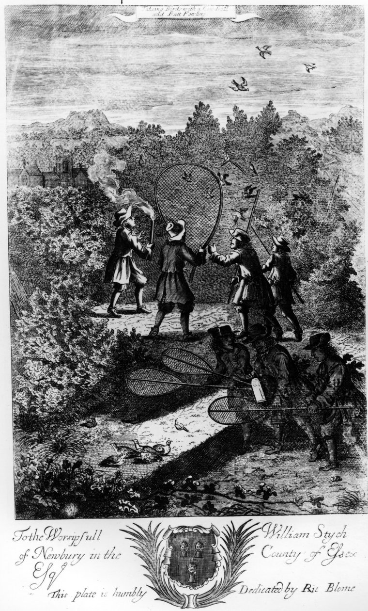 1686 में रिचर्ड ब्लोम द्वारा प्रकाशित &39;द जेंटलमैन रिक्रिएशन&39; से एक नेट के साथ पक्षी लेना द्वारा अंग्रेजी स्कूल