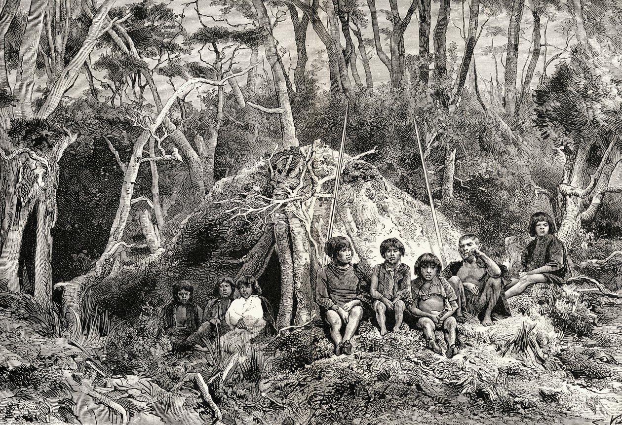 चार्ल्स डार्विन (1809-82) द्वारा &39;जर्नल ऑफ रिसर्च&39; से फ्युजियम और उनके विग्वैम, लंदन 1890 में प्रकाशित द्वारा अंग्रेजी स्कूल