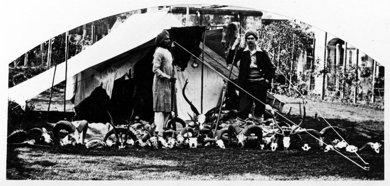 मेरी भारतीय शिकार ट्राफियां, c.1870s द्वारा अंग्रेजी फोटोग्राफर