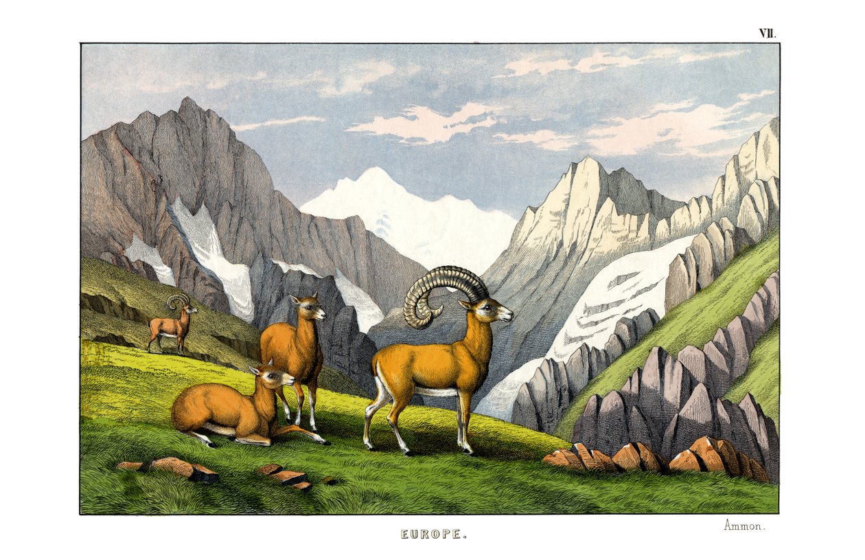  द्वारा अंग्रेजी स्कूल
