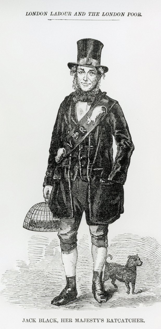 जैक ब्लैक, हर मेजेस्टिस रैटचैकर, c.1840 द्वारा अंग्रेजी स्कूल