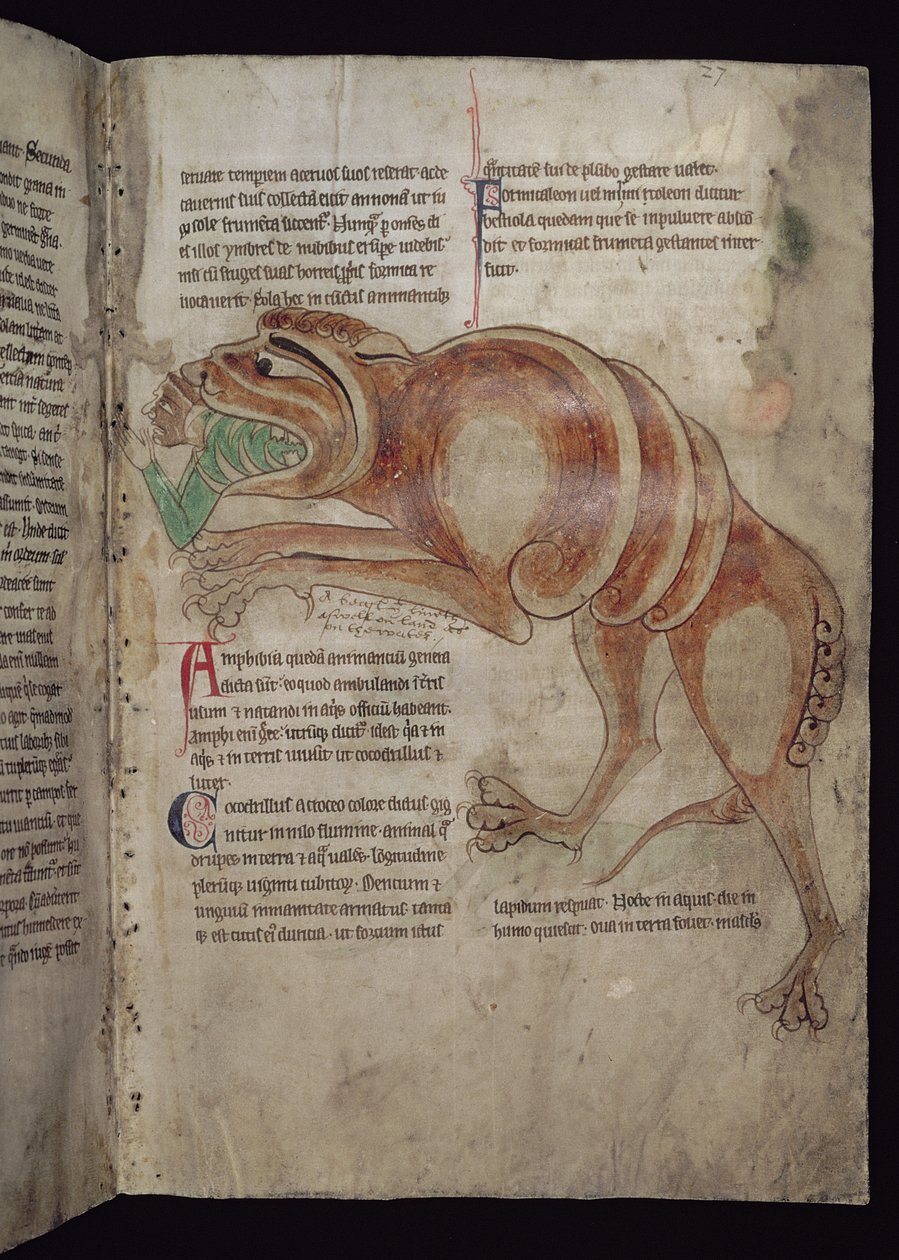 Ms.254 f.24 r एक व्यक्ति को कोलोड्रिलस निगलना द्वारा अंग्रेजी स्कूल