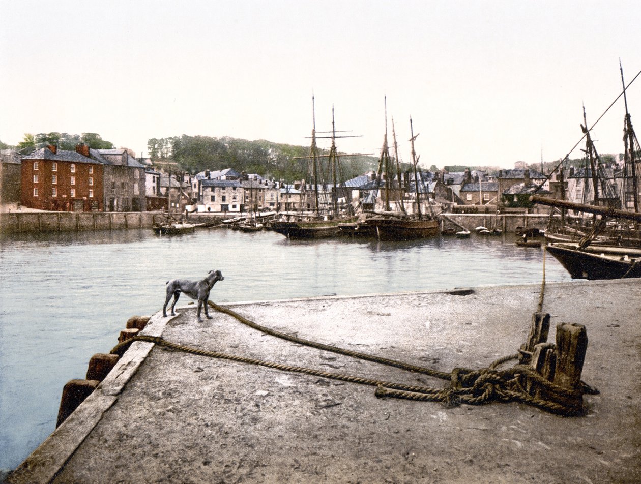 Padstow Quay (हाथ से रंगीन फोटो) द्वारा अंग्रेजी स्कूल