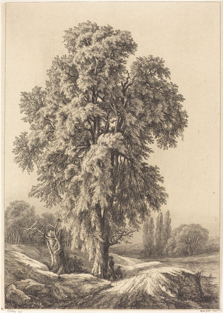 एल्म ट्री, 1840। द्वारा यूजीन ब्लेरी