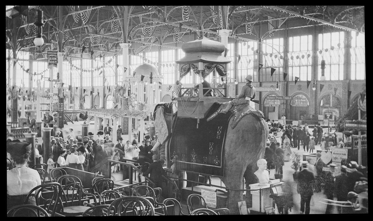 स्टीपलचेज पार्क, कोनी द्वीप, 1910 (नाइट्रेट नकारात्मक) द्वारा यूजीन वेमलिंगर