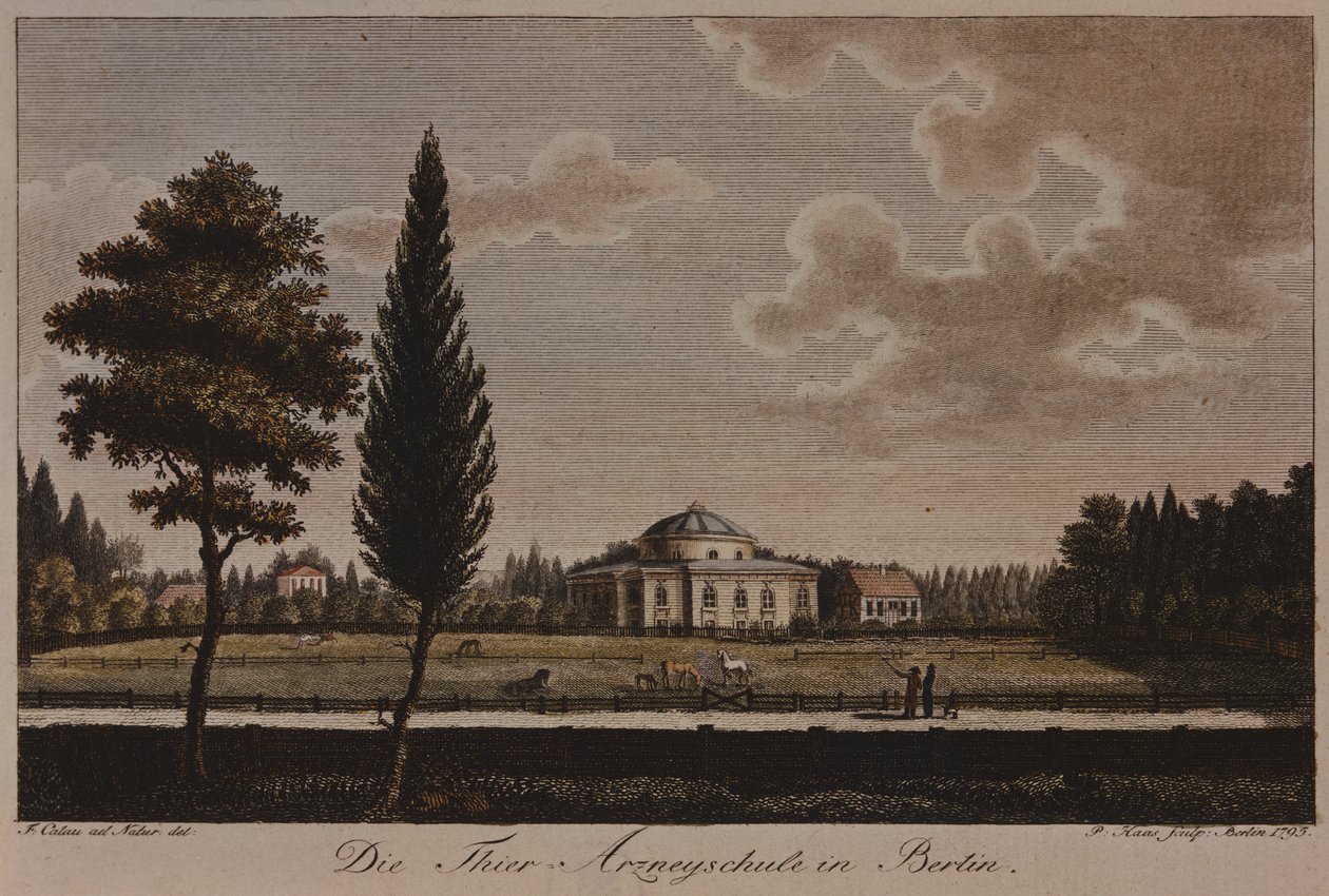 पशु चिकित्सा स्कूल, बर्लिन, 1795 (नक़्क़ाशी) द्वारा एफए कैलाउ