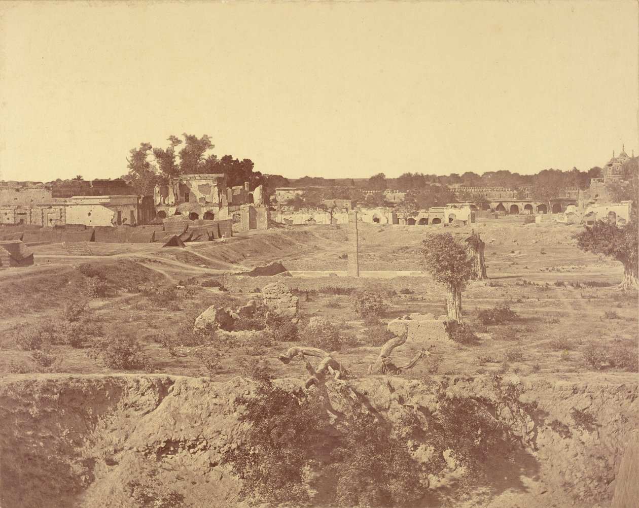  द्वारा फेलिस बीटो