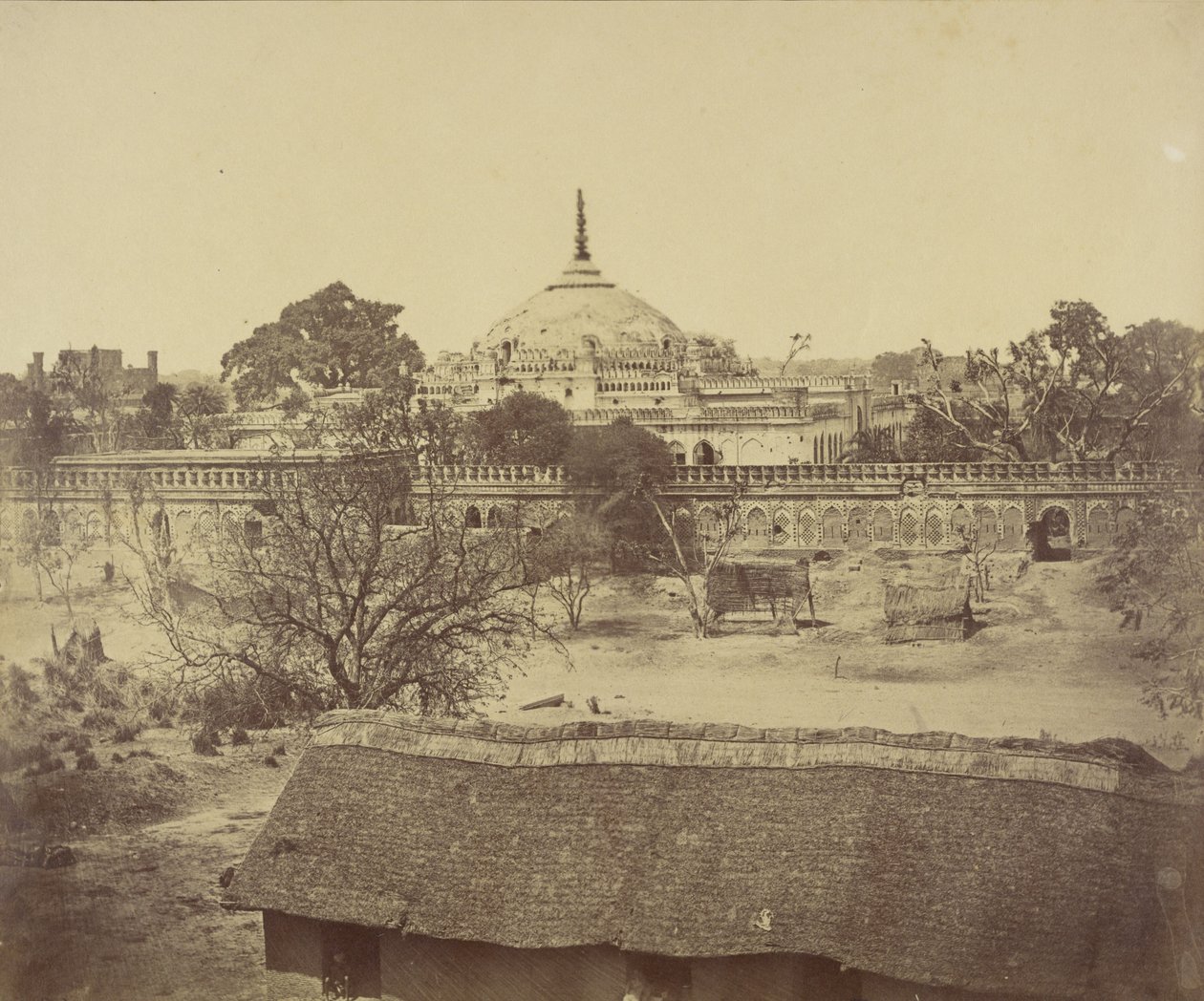  द्वारा फेलिस बीटो