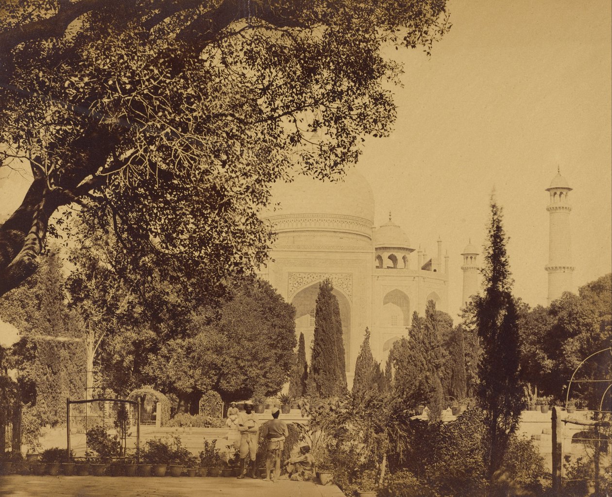 ताज महल द्वारा फेलिस बीटो