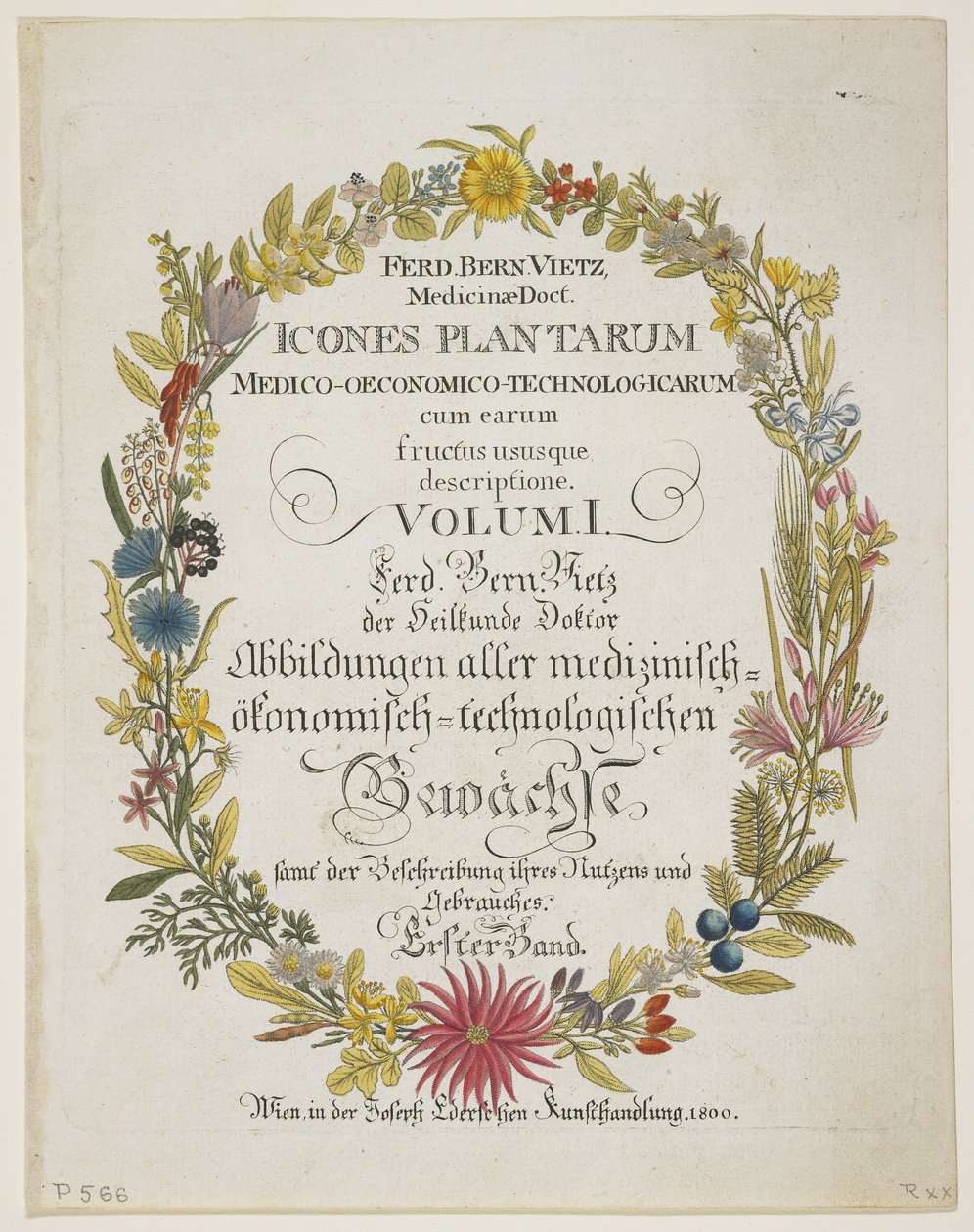 Frontispiece और शीर्षक पृष्ठ, खंड। 1, माउस से Planta मेडिका उनके रिटर्न के साथ आर्थिक-तकनीकी विवरण अनुभव, 1800 (हाथ से रंग का उत्कीर्णन) द्वारा फर्डिनेंड बर्नहार्ड विट्ज़
