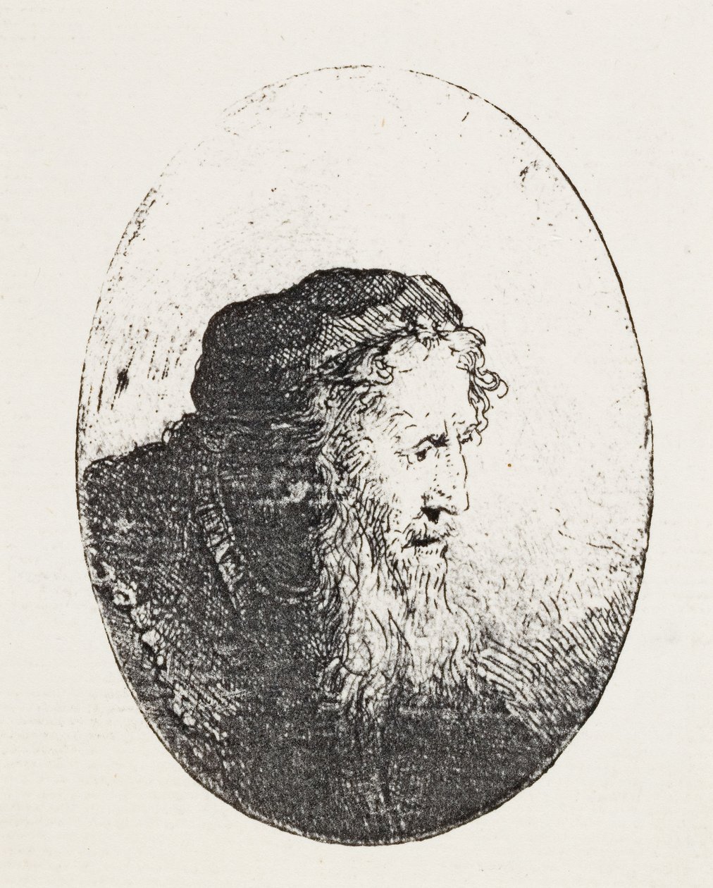 दाढ़ी वाले बूढ़े आदमी, c.1644-46 द्वारा फर्डिनेंड बोलो