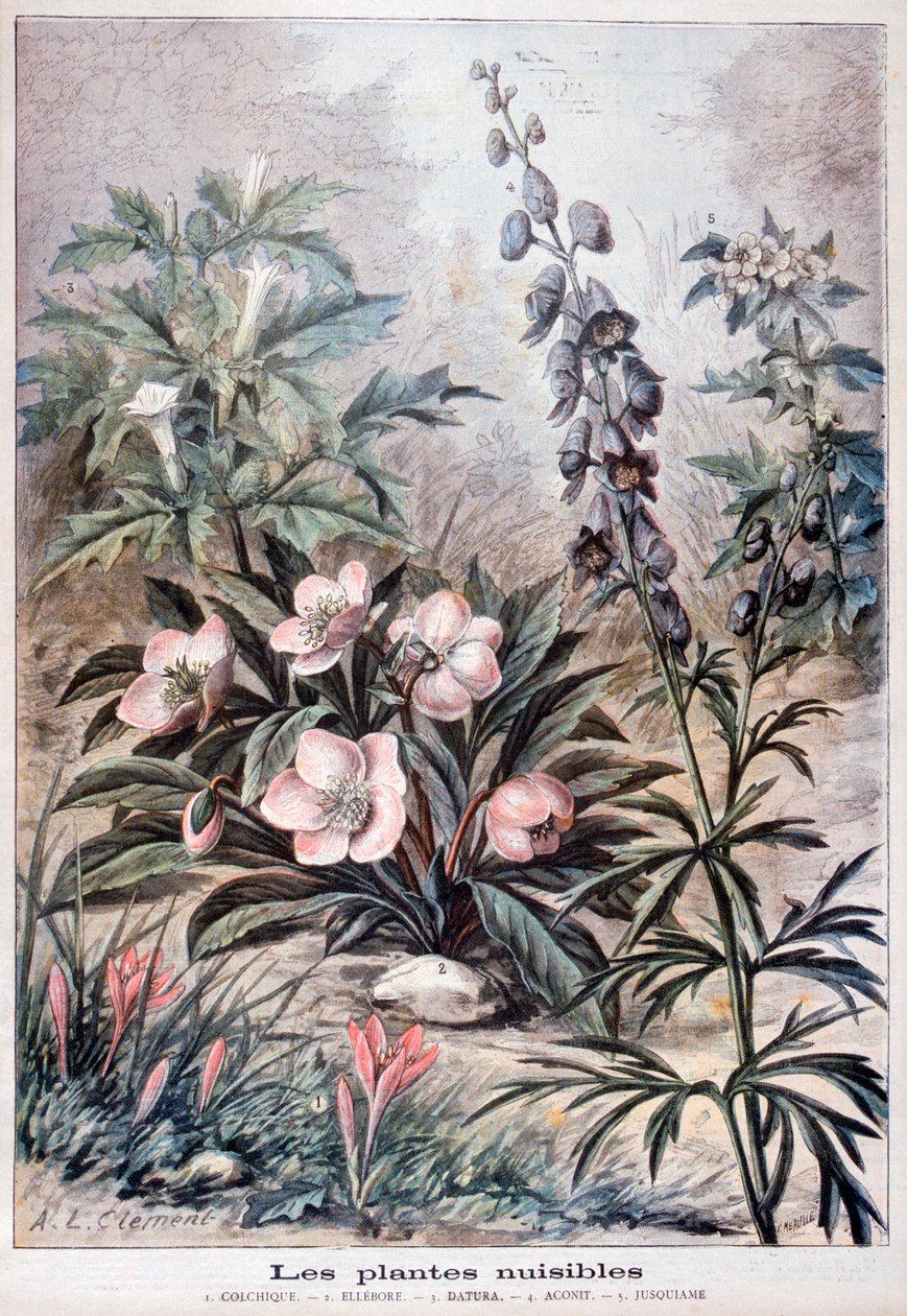 हानिकारक पौधे, 1897 द्वारा Fortuné Méaulle