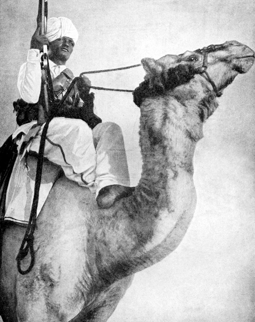 अफ्रीका का रेगिस्तान योद्धा, 1936। द्वारा फॉक्स तस्वीरें