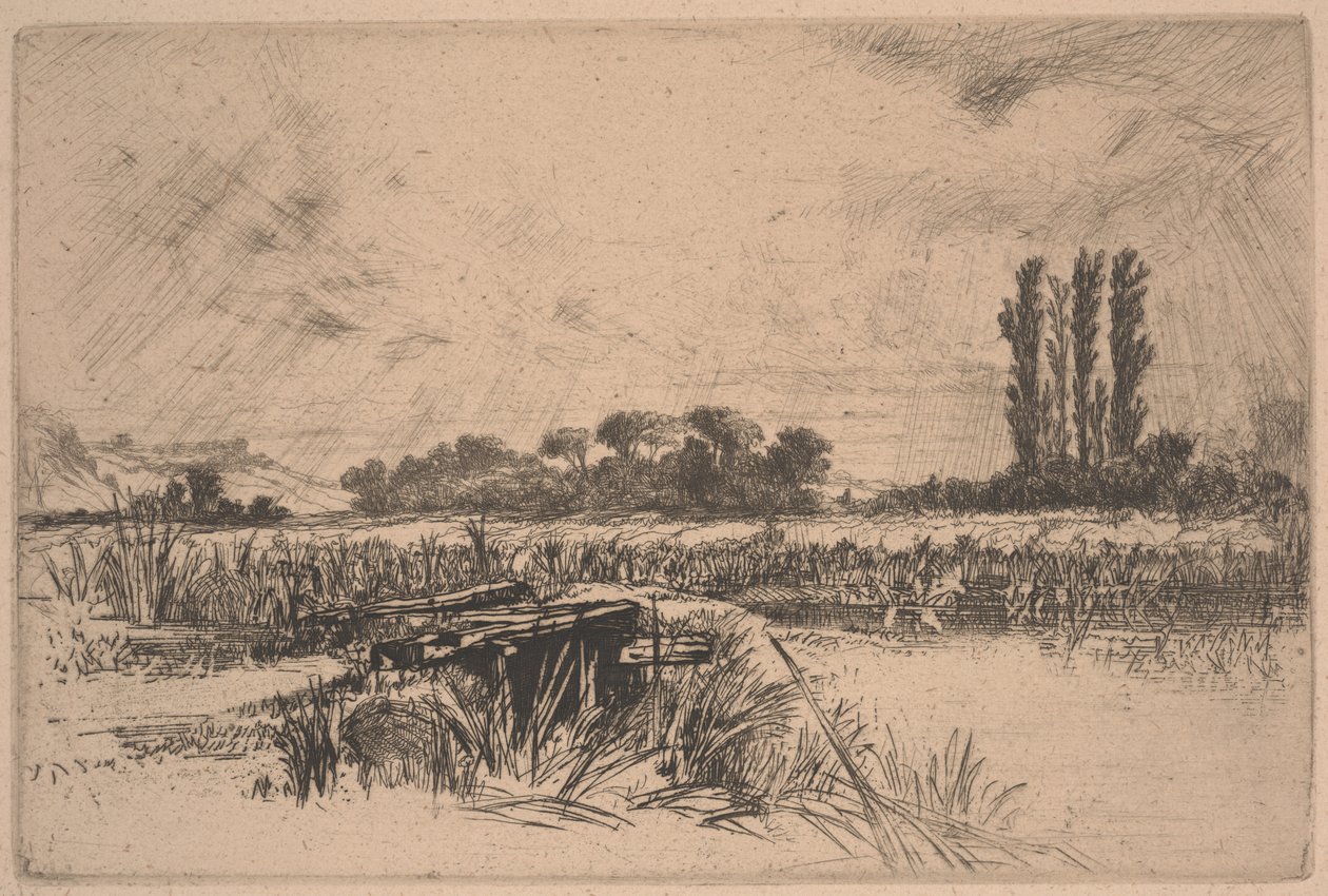 एक जल घास का मैदान (नक़्क़ाशी और drypoint) द्वारा फ्रांसिस सीमोर हैडेन