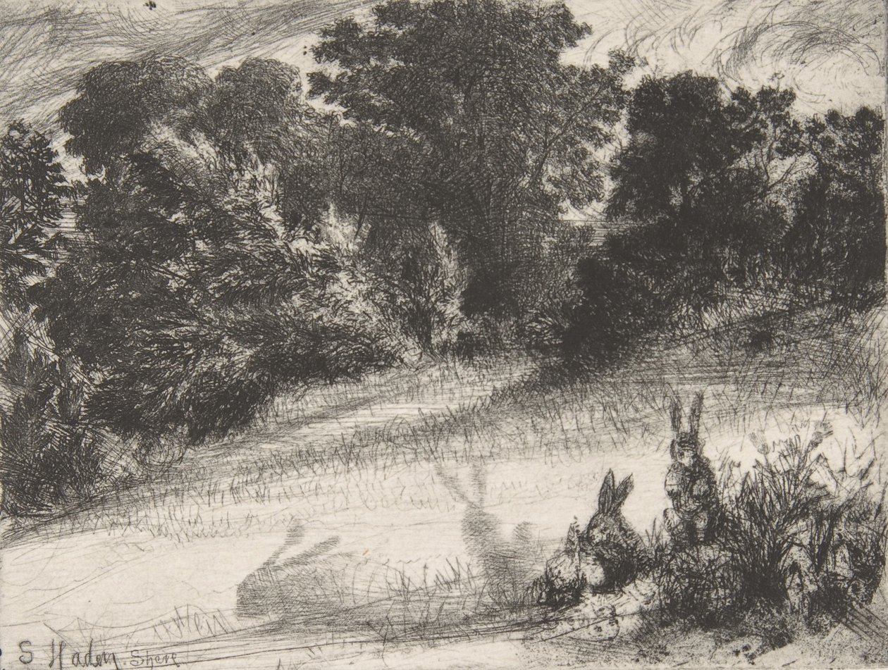 कॉम्बे बॉटम, 1860., 1860। द्वारा फ्रांसिस सीमोर हैडेन