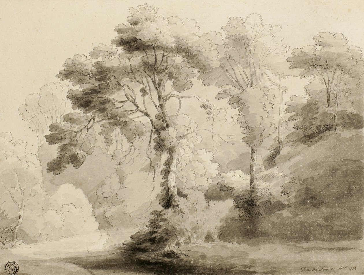वुडेड लैंडस्केप, 1774 द्वारा फ्रांसिस टाउने
