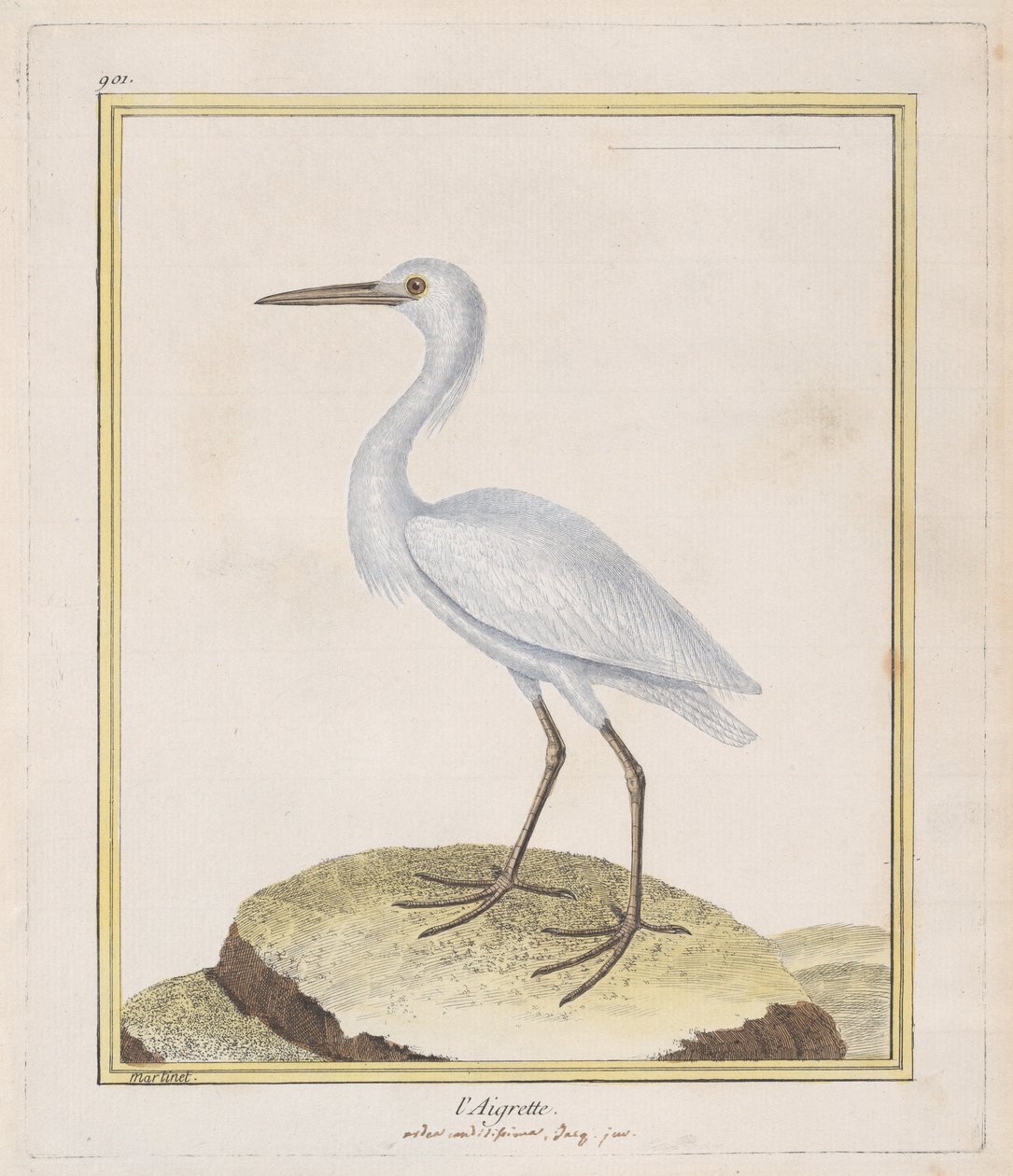 बगुला बगुला, 1770-86। द्वारा फ्रेंकोइस निकोलस मार्टिनेट
