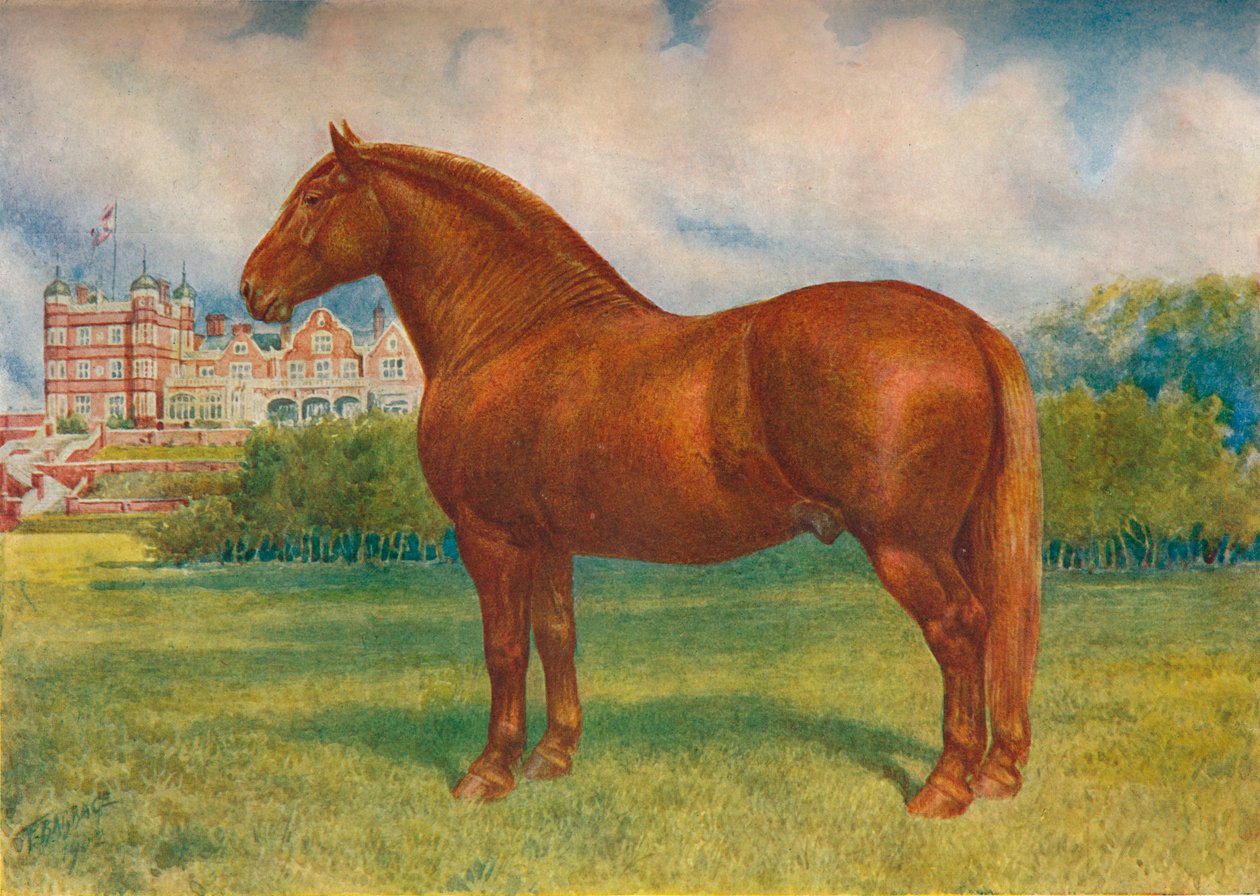 सफ़ोक साहब प्रिंस वेगवुड, c1902 c1910 द्वारा फ्रैंक बैबेज