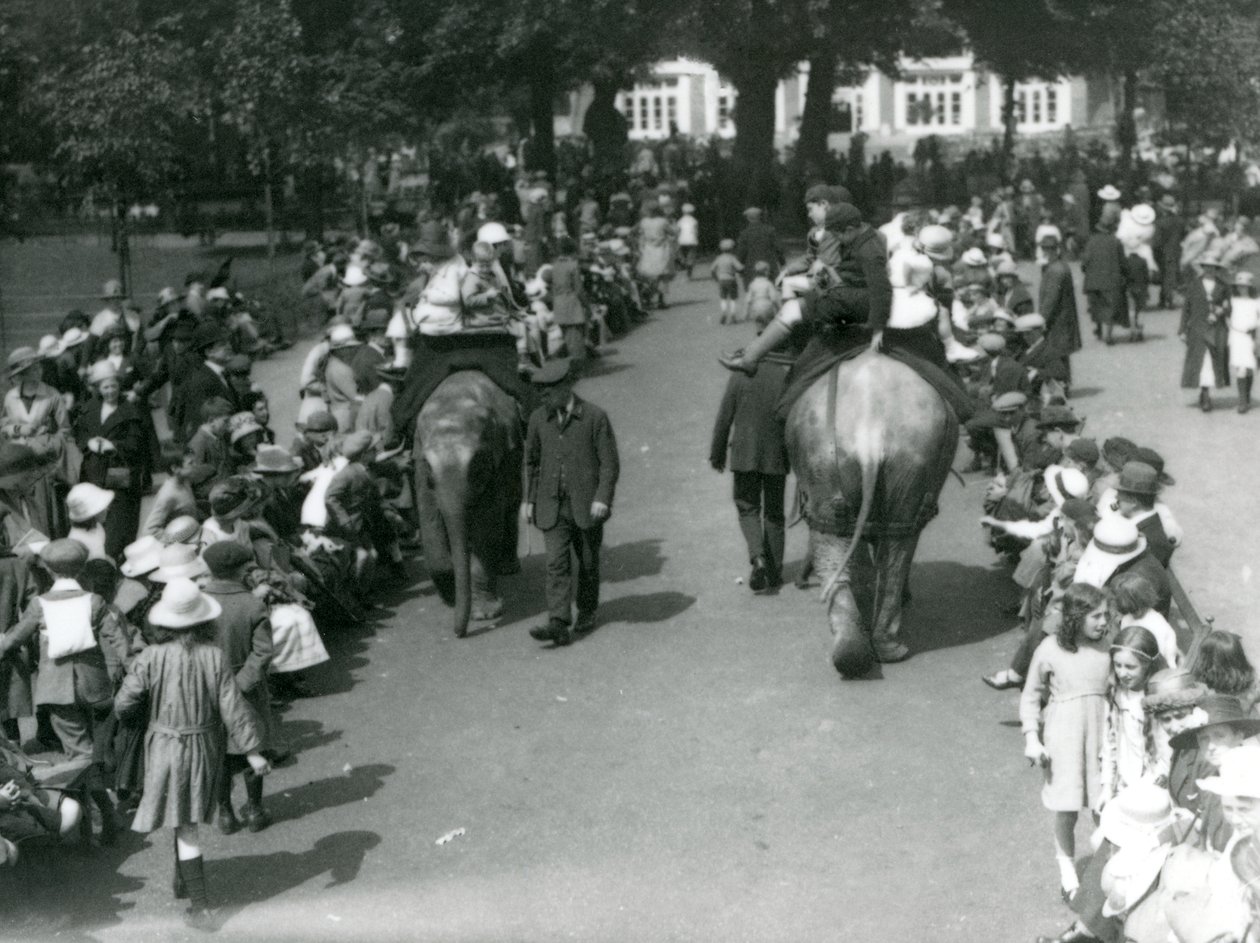 लंदन के चिड़ियाघर में दर्शकों की भीड़ के साथ एशियाई हाथी की सवारी, 1922 (bw फोटो) द्वारा फ्रेडरिक विलियम बॉन्ड