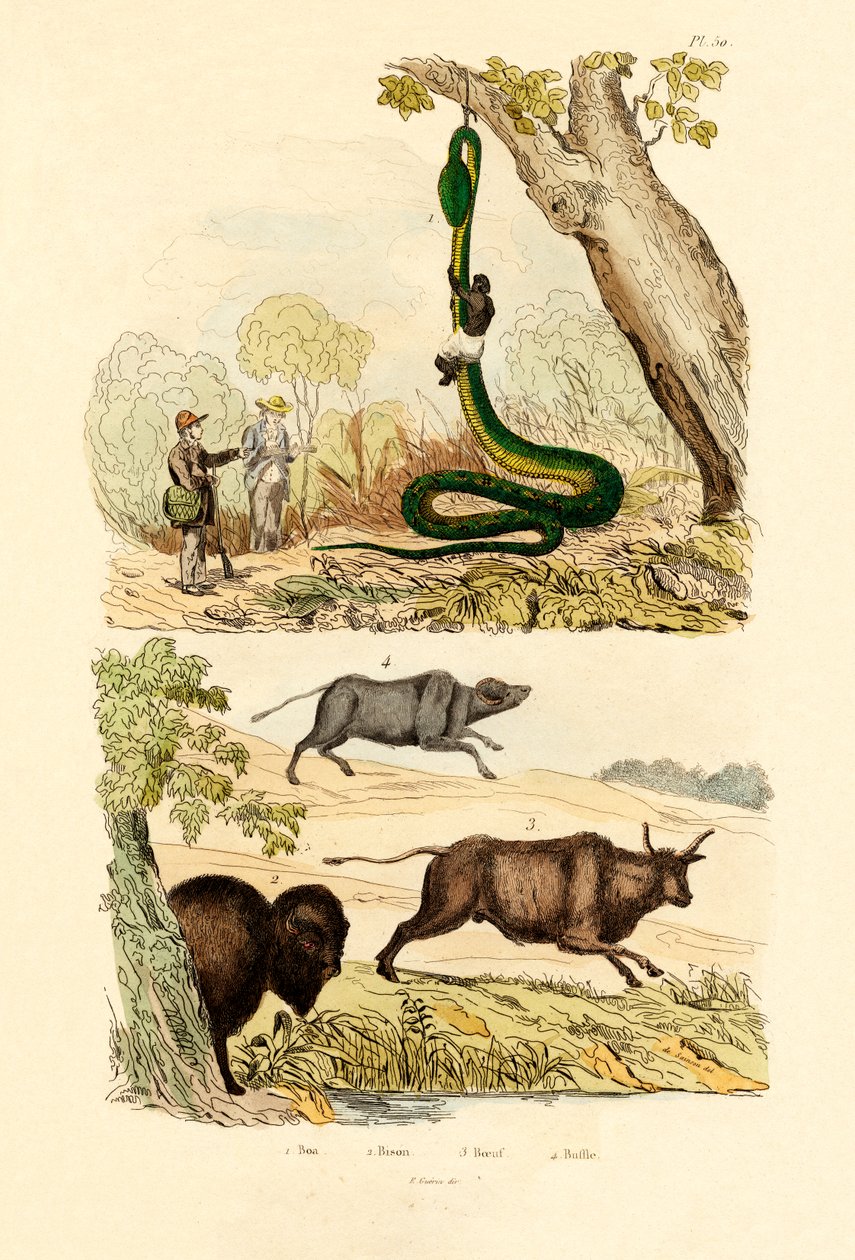 गुड, 1833-39 द्वारा फ्रेंच स्कूल