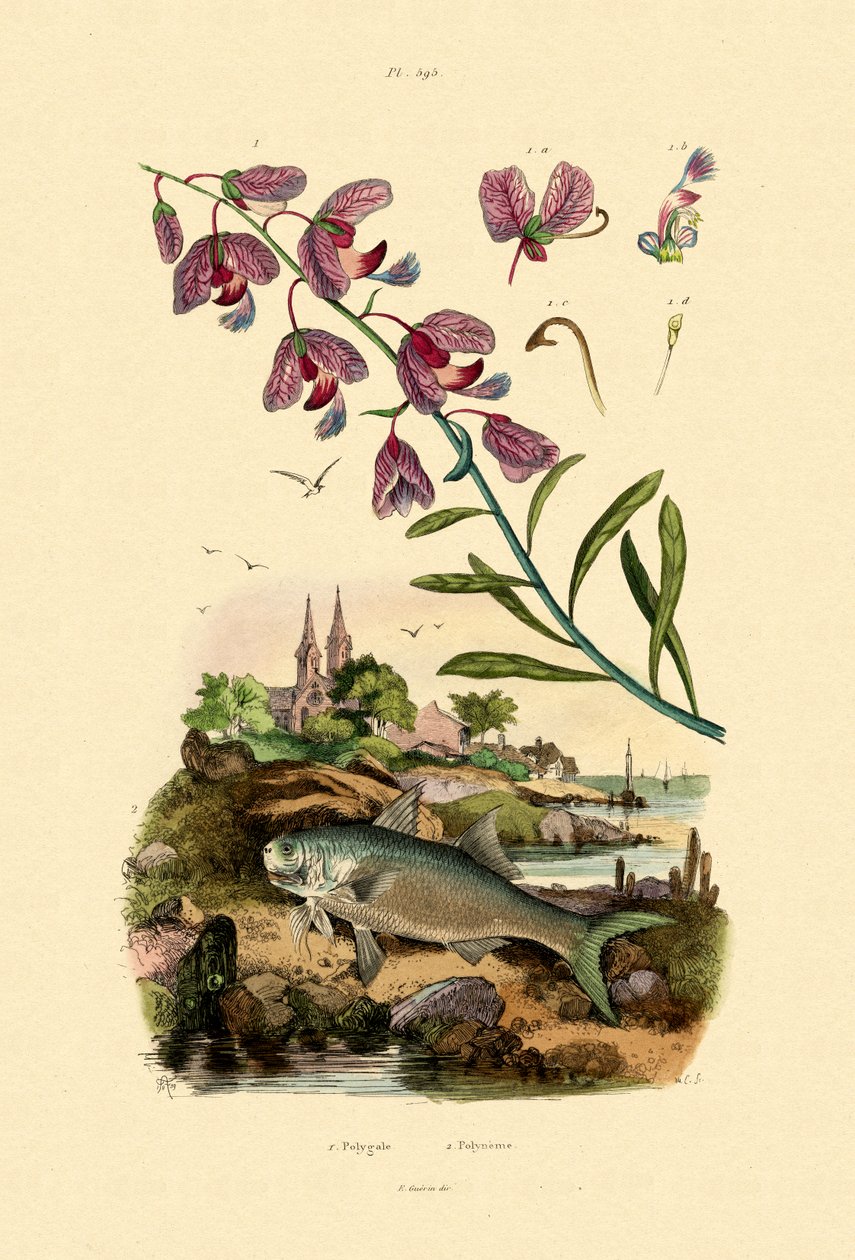फिनियल, 1833-39 द्वारा फ्रेंच स्कूल
