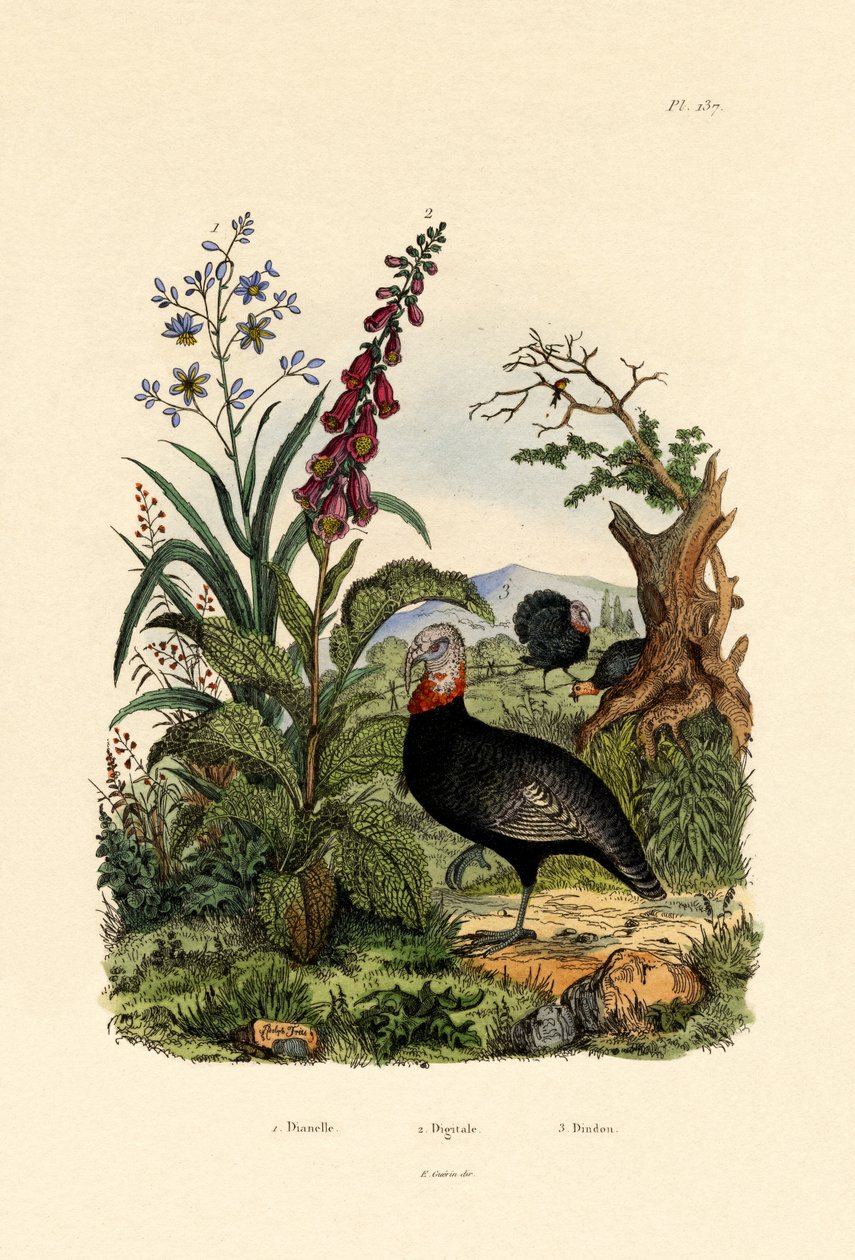सन, 1833-39 द्वारा फ्रेंच स्कूल
