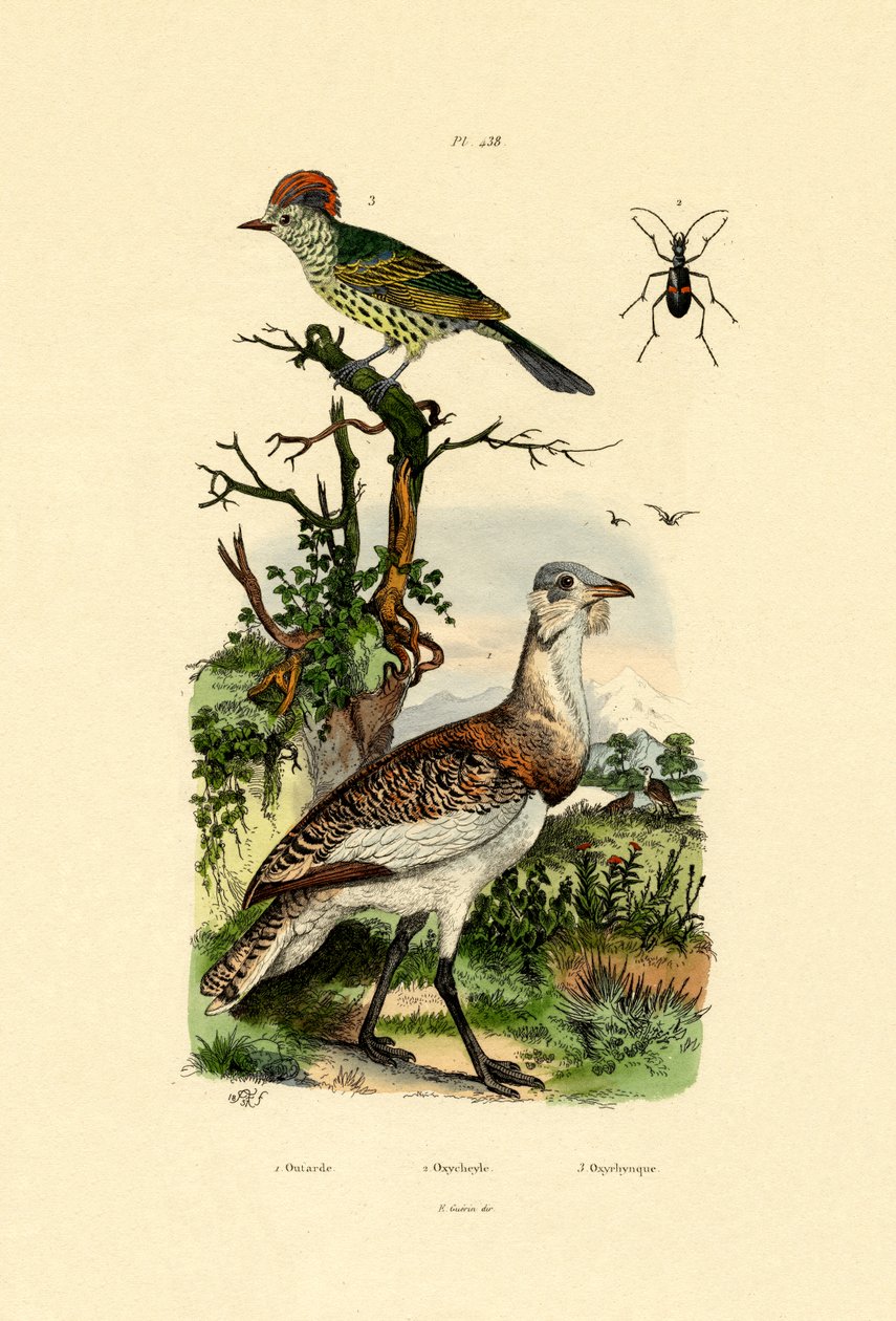 लिटिल बस्टर्ड, 1833-39 द्वारा फ्रेंच स्कूल