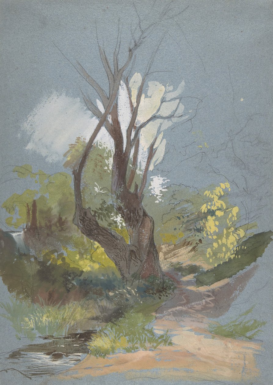एक पेड़ के साथ माउंटेन पाथ, 1820-78। द्वारा फ्रेडरिक नेर्ले