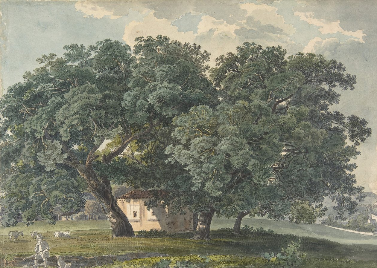 ट्री रेक्टो के साथ इतालवी लैंडस्केप, 1815-21। द्वारा फ्रेडरिक सलाथे
