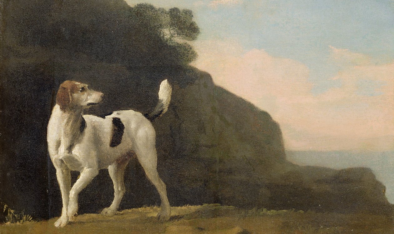 एक फॉक्सहाउंड, c.1760 (बोर्ड पर रखा गया तेल पर तेल) द्वारा जॉर्ज स्टब्स