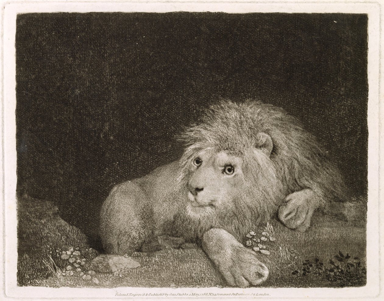 कलाकार, पब द्वारा उत्कीर्ण एक शेर (एक लेटा हुआ शेर)। 1788 द्वारा जॉर्ज स्टब्स