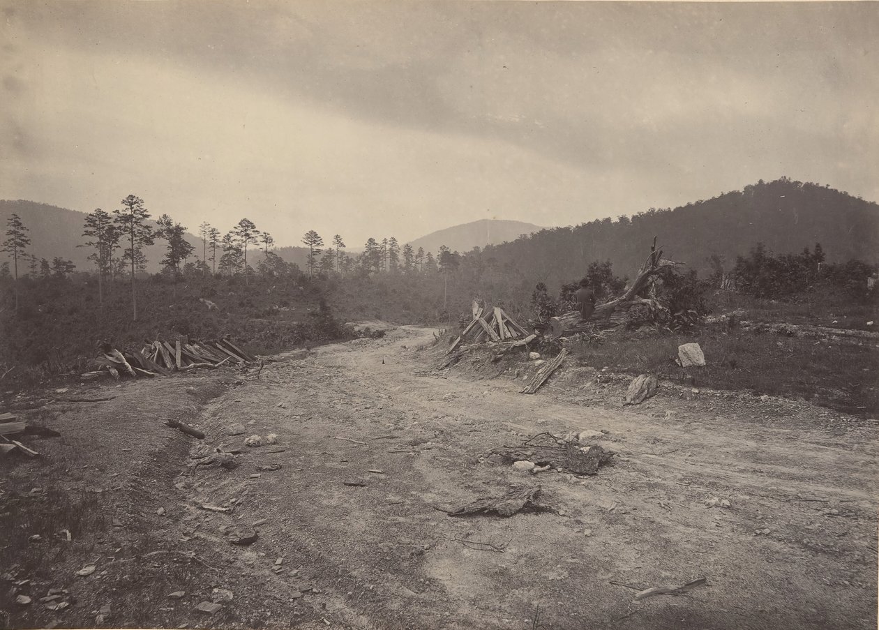 बज़र्ड रोस्ट, जॉर्जिया, 1860 के दशक। द्वारा जॉर्ज एन। बरनार्ड
