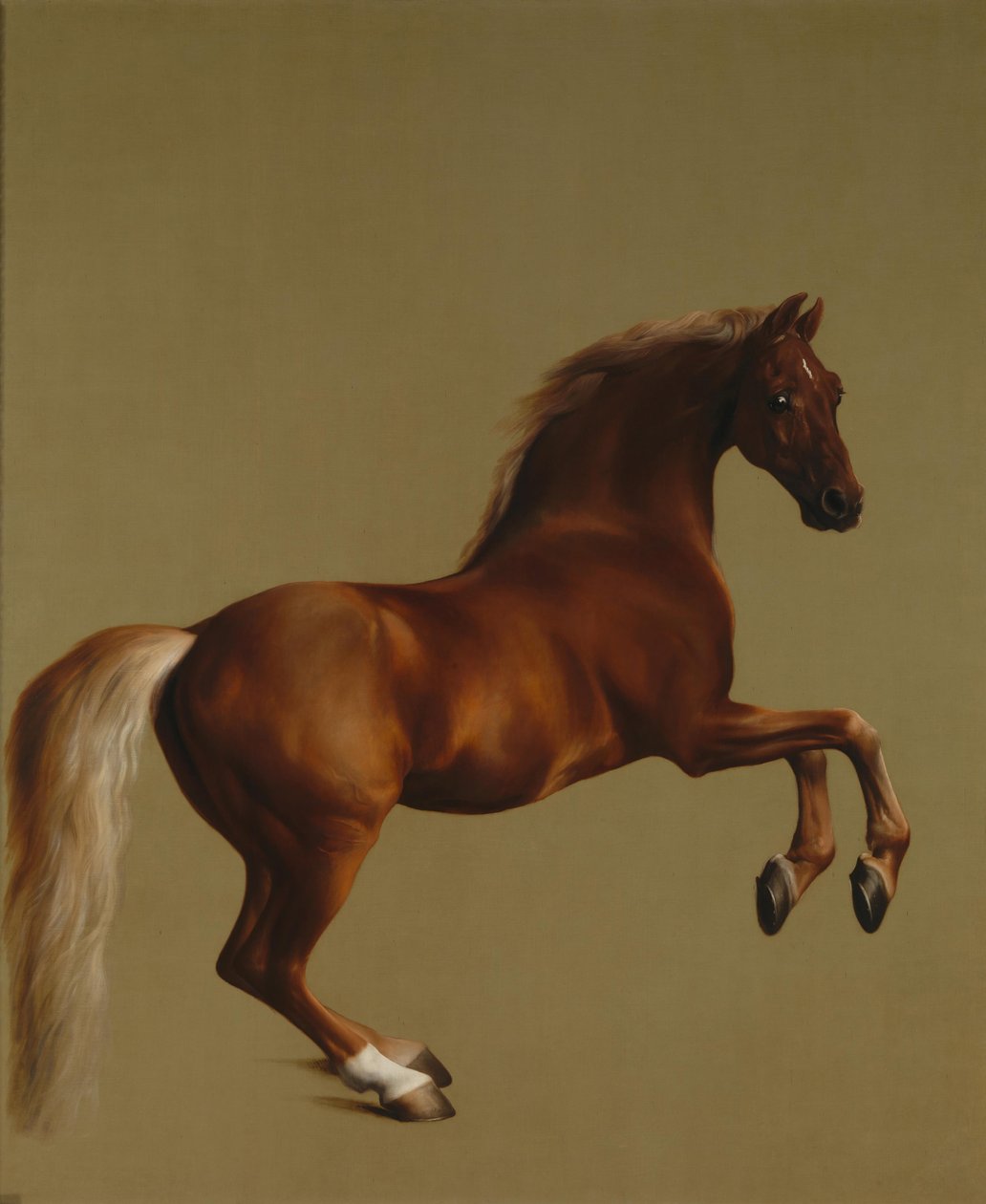 Whistlejacket द्वारा जॉर्ज स्टब्स