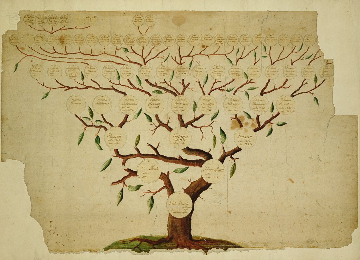 बाख फैमिली ट्री, c.1750-1770 (कागज पर कलम और स्याही और पेंसिल) द्वारा जर्मन स्कूल