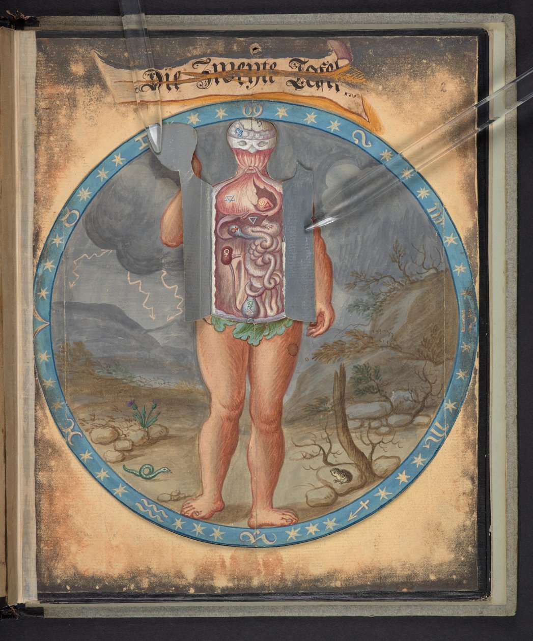  द्वारा जर्मन स्कूल