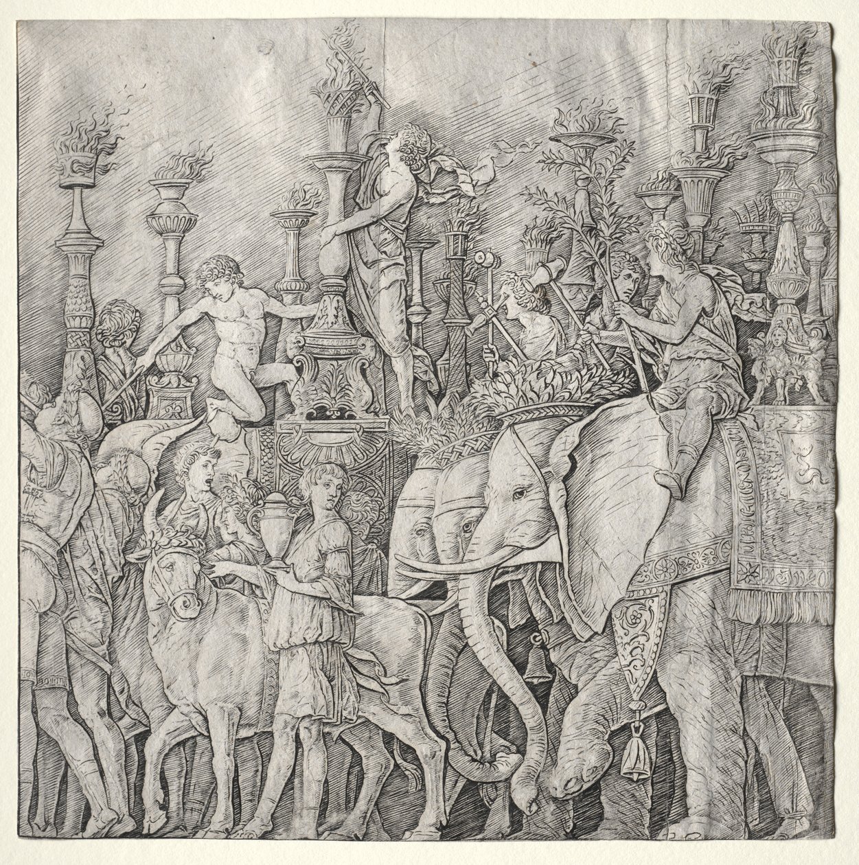  द्वारा Giulio Campagnola