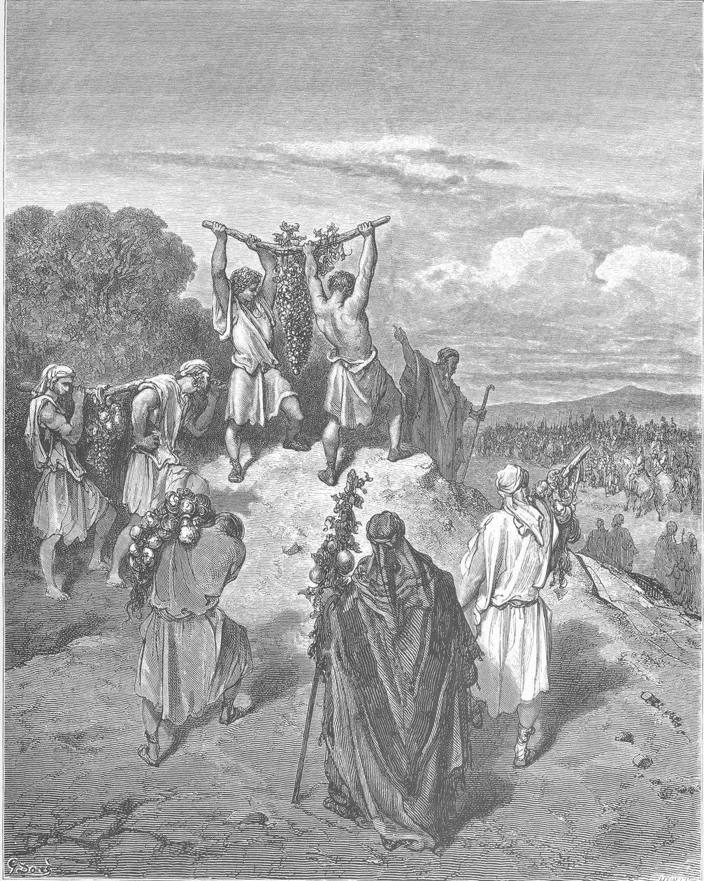 जासूसों ने वादा किया हुआ देश से वापसी की द्वारा गुस्ताव डोर