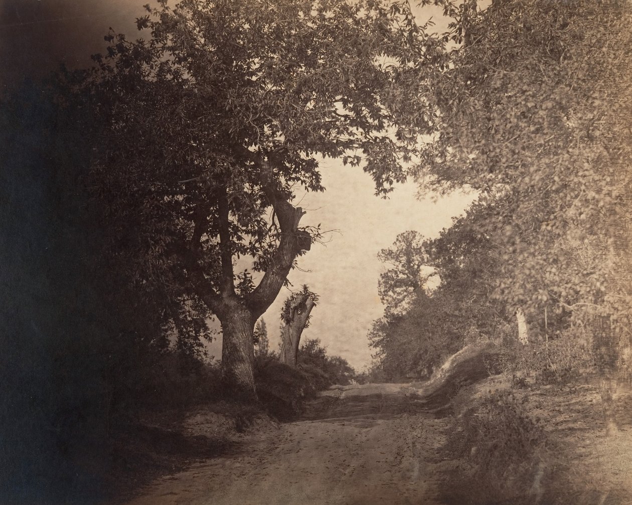 फॉनटेनब्लियू, सैंडी पाथ अपहिल, सीए। 1856. द्वारा गुस्ताव लेग्रे