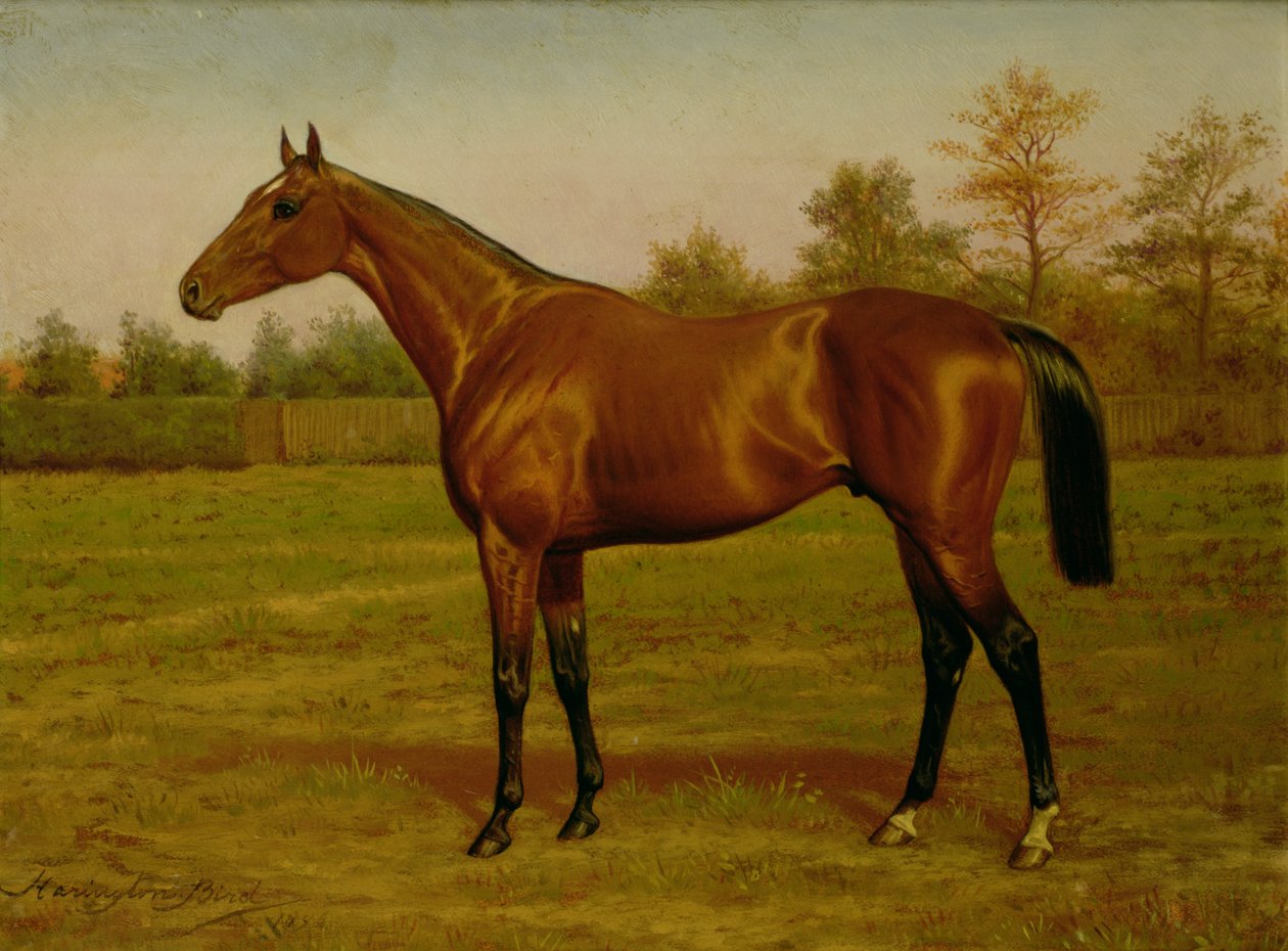 Isinglass, ट्रिपल क्राउन, 1893 द्वारा हैरिंगटन बर्ड