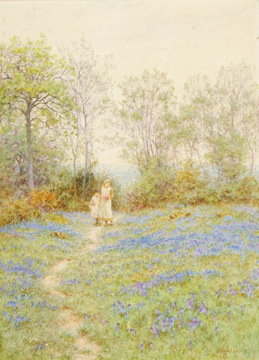 Bluebells द्वारा हेलेन एलिंघम
